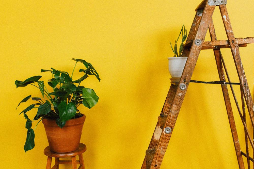 un escabeau en bois avec une plante verte sur un tabouret devant un mur jaune