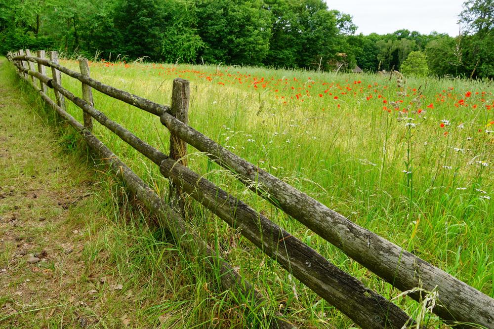 un champs avec une barrière en bois